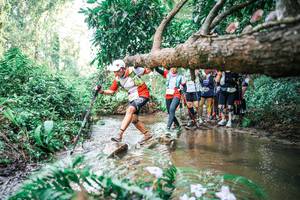 BIB: 
                            <button type="button" onclick="openModal(25516751)" class="btn btn-primary btn-sm float-right btn-popup" data-toggle="modal" data-target=".modal-high-quality">
                        <i class="fas fa-shopping-cart"></i> Add to Cart
                    </button>
                                            <button type="button" onclick="isThisMe(25516751, true)" class="btn btn-success btn-sm float-right btn-popup btn-isme hidden" data-toggle="tooltip" data-placement="bottom" title="นี่คือรูปของคุณใช่ไหม คลิกที่นี่เพื่อเอาเข้าอัลบั้ม">
                        <i class="fas fa-plus"></i> Add to album
                    </button>
                    <button type="button" onclick="isThisMe(25516751, false)" class="btn btn-warning btn-sm float-right btn-popup btn-isnotme hidden">
                        <i class="fas fa-ban"></i> Remove from album
                    </button>